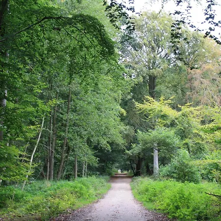 Appartement Kaeuzchen - Ulenhoef