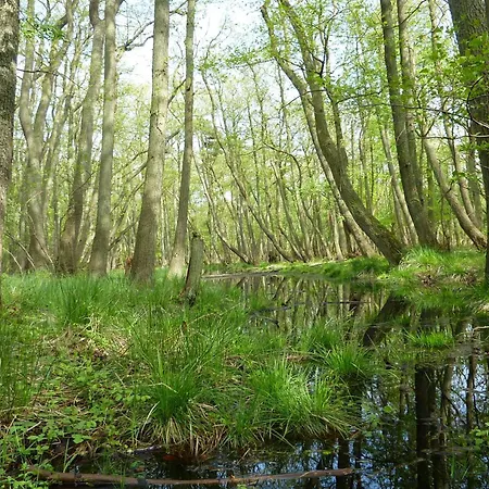 Kaeuzchen - Ulenhoef Appartement *